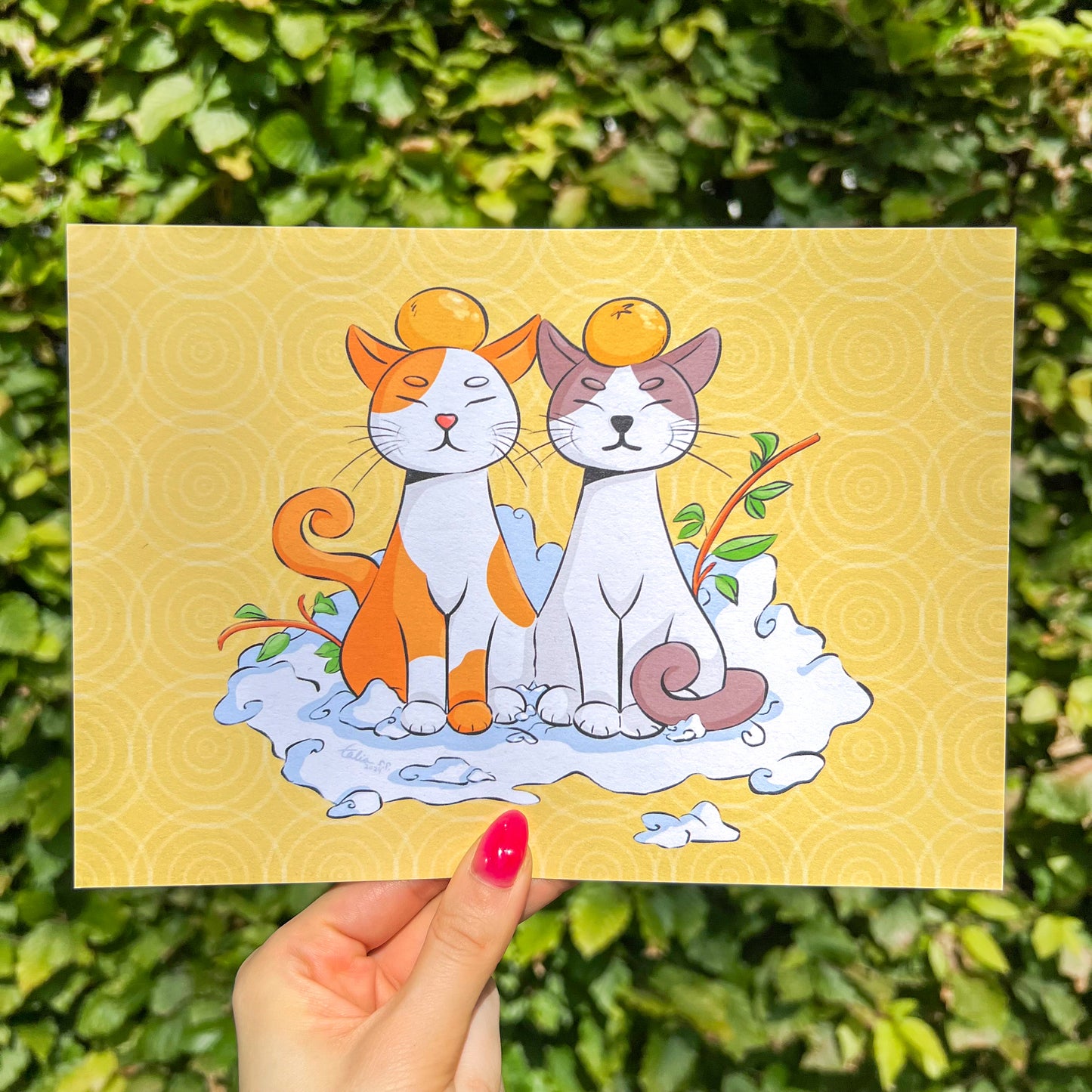 Yuzu Cats | Print